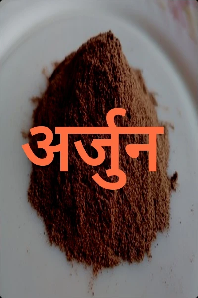 अर्जुन