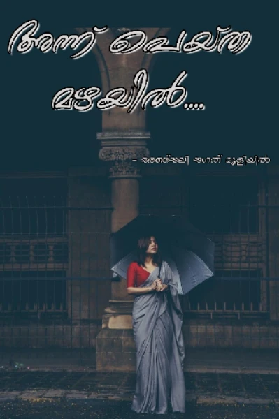 അന്ന് പെയ്ത മഴയിൽ