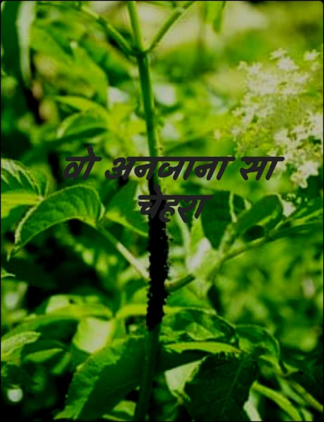 Mr Vampire you are only mine