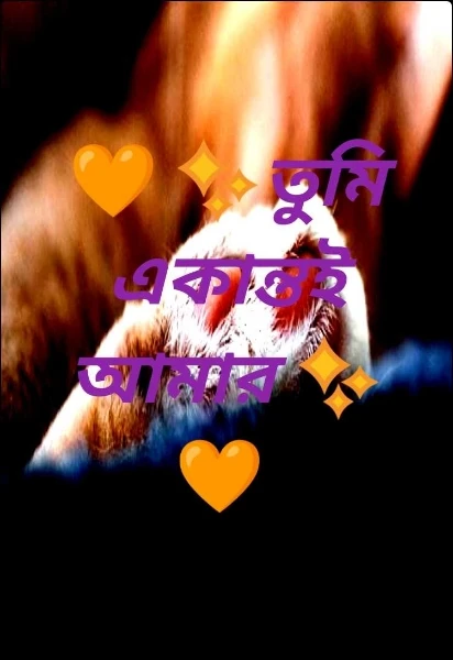 🧡✨তুমি একান্তই আমার ✨🧡