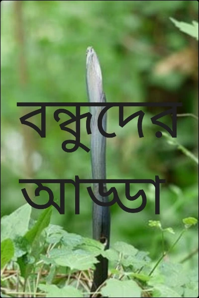 বন্ধুদের আড্ডা