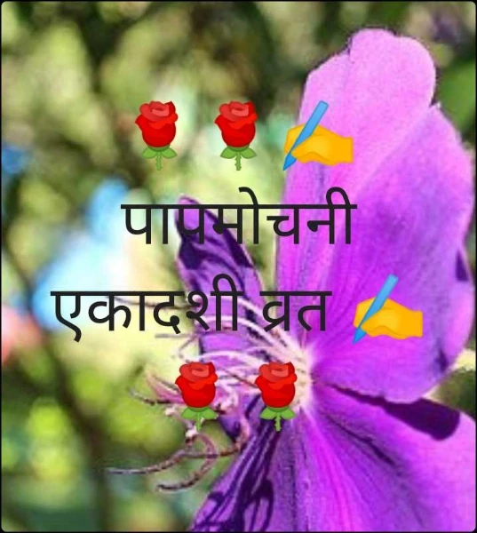 🌹🌹✍️पापमोचनी एकादशी व्रत ✍️🌹🌹