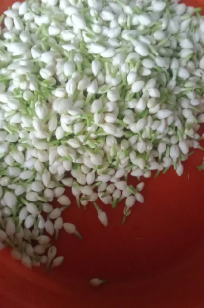 துப்பட்டா போடுங்க தோழி -கீதா இளங்கோவன்