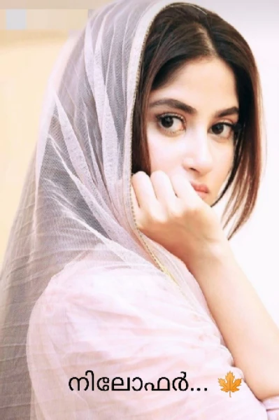 നിലോഫർ...🍁1