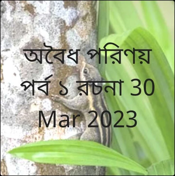 অবৈধ পরিণয় পর্ব ১ রচনা 30 Mar 2023