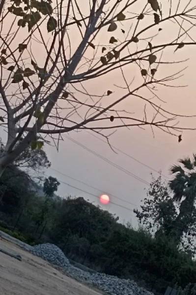 భానుడు...