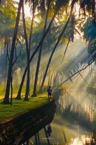 ഉന്മാദം