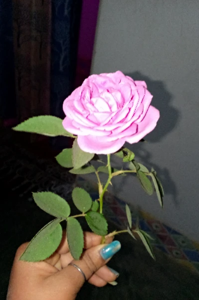 ଲେଖା 04 Apr 2023 ପ୍ରେମ 💞ଆଉ ପରିବାର