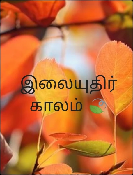 இலையுதிர் காலம் 🍃
