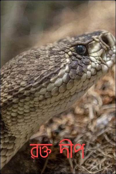 রক্ত দীপ