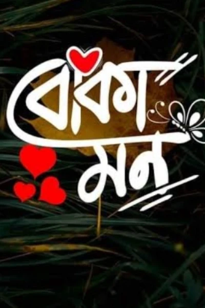 বোকা মন