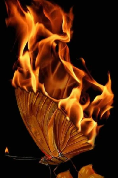 FIRE