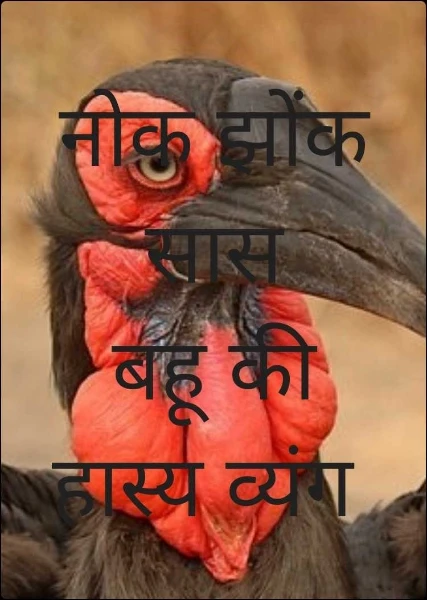 नोक झोंक सास बहू की     हास्य व्यंग