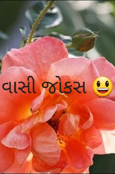 વાસી જોકસ😃 ( સીઝન - 7 - )