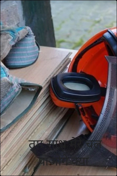 तुम साथ मेरे चल पाओगे क्या