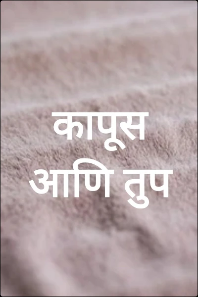 कापूस आणि तुप
