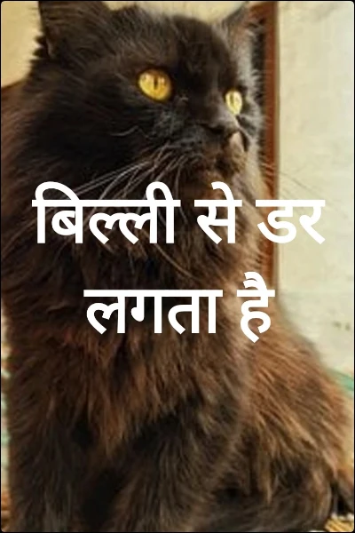 बिल्ली से डर लगता है