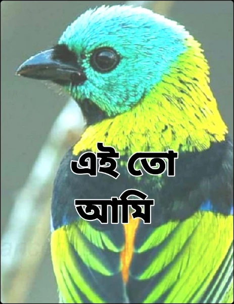 এই তো আমি