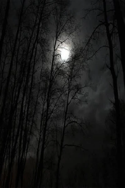 எச்சரிக்கை தடை செய்யப்பட்ட பகுதி