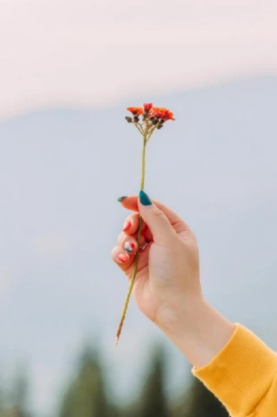 जोक्स पिटारा 😜