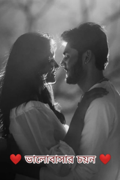❤️ ভালোবাসার চয়ন ♥️