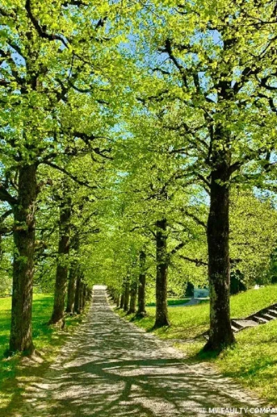 কালবৈশাখী ও মেঘমালা।     রচনা: গৌতম সেনাপতি 21 May 2023