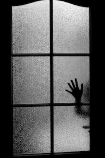 ആർദ്ര ✨️