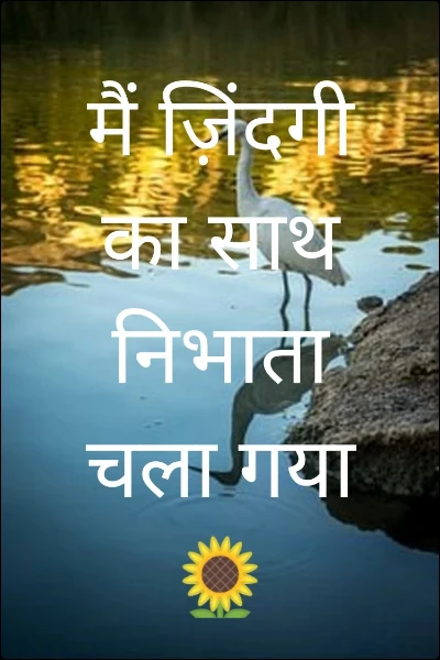 मैं ज़िंदगी का साथ निभाता चला गया 🌻
