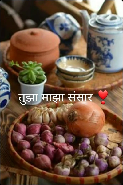 तुझा माझा संसार ❣