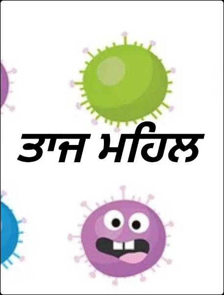 ਤਾਜ ਮਹਿਲ