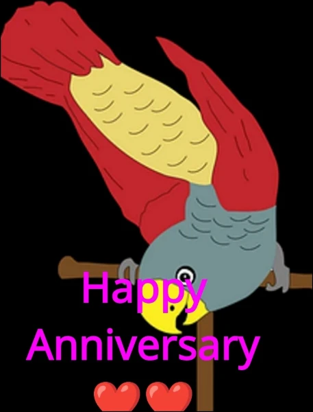 Happy Anniversary ❤️❤️