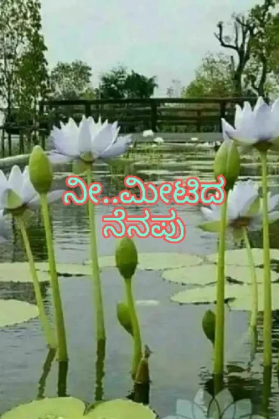 ನೀ..ಮೀಟಿದ ನೆನಪೆಲ್ಲವೂ..( ಭಾಗ ೧)