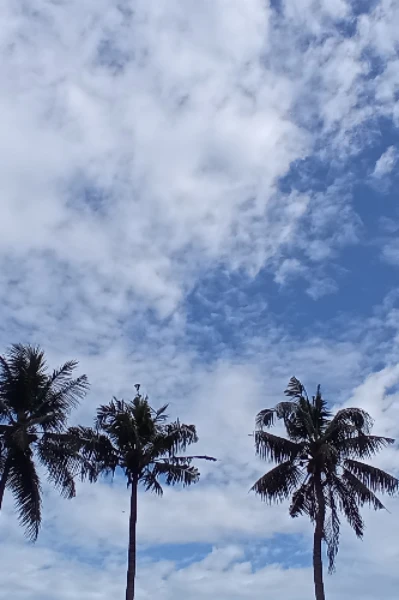 ഓളങ്ങൾ....🤍