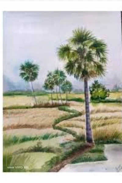 তাল গাছ