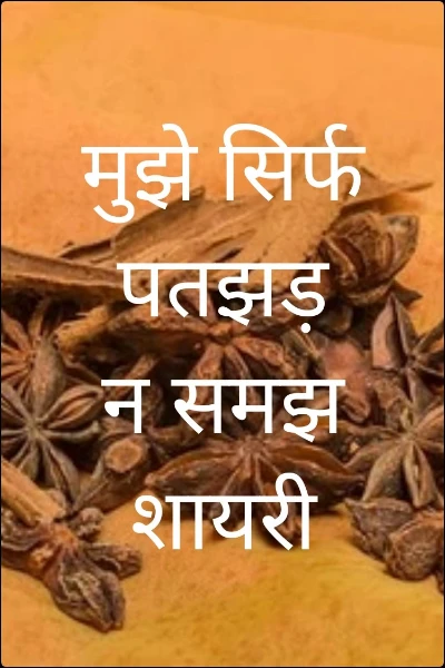 मुझे सिर्फ पतझड़ न समझ शायरी