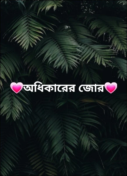 💗অধিকারের জোর💗