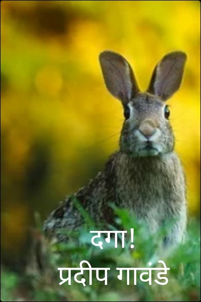 दगा प्रदीप गावंडे