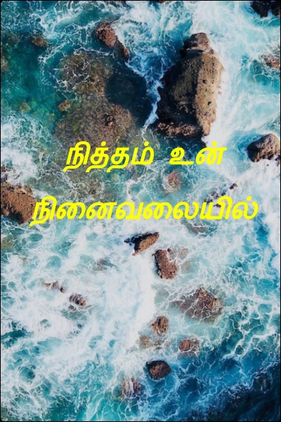 நித்தம் உன் நினைவலையில்