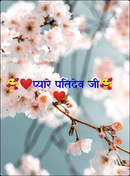 🥰❤️प्यारे पतिदेव जी🥰❤️
