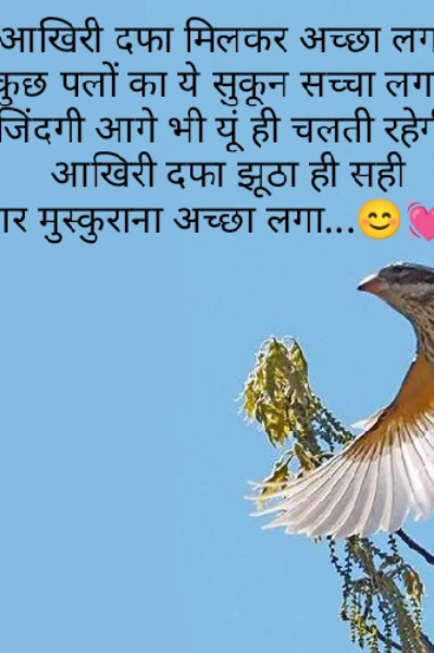 शायरियां...🥰