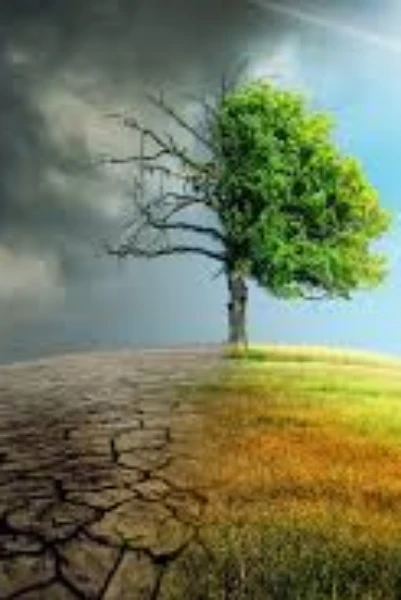 জীবনের জলছবি পর্ব ১