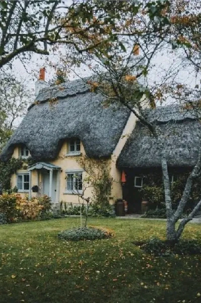 गांव का बाजार