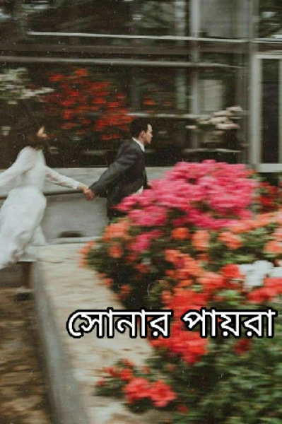 সোনার পায়রা