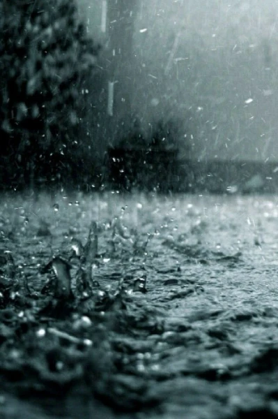 മഴക്കാലമല്ലേ.. മഴയല്ലേ
