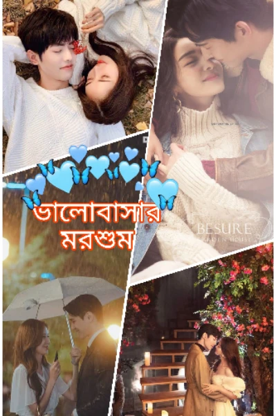 ভালোবাসার মরশুমে