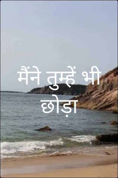 मैंने तुम्हें भी छोड़ा