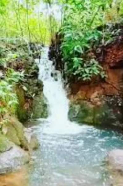 കാട്ടുചോല