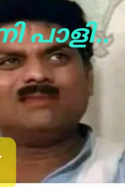 പണി പാളി !