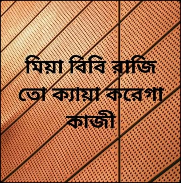 মিয়া বিবি রাজি তো ক্যায়া করেগা কাজী
