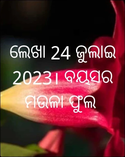 ଲେଖା 24 ଜୁଲାଇ 2023। ବୟସର ମଉଳା ଫୁଲ